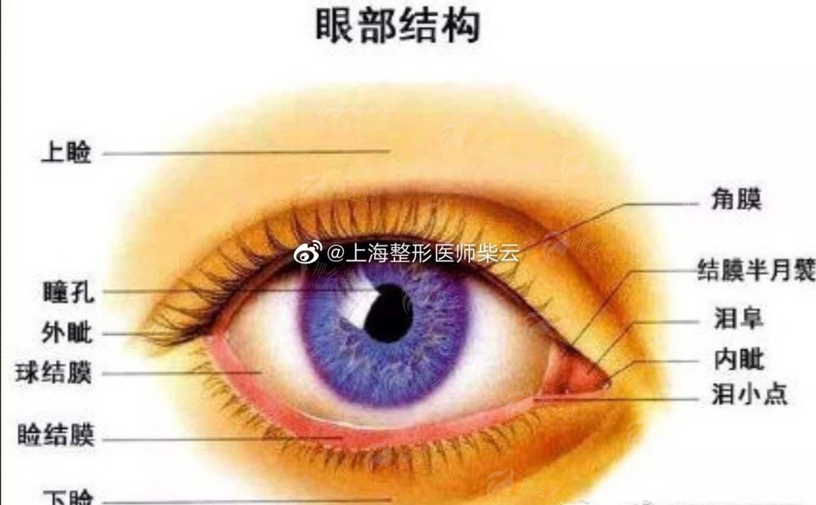 深圳画美医院双眼皮医生推荐：王成毅/王志东/李超等-定点双眼皮价格3891元起-预约方式