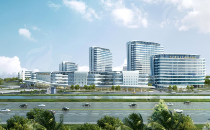 为什么那么多人找北京斯楼斌医生？口碑解析：专业背景、技术优势及最新项目价格全指南
