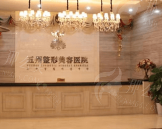 武汉五洲整形医院鼻部整形