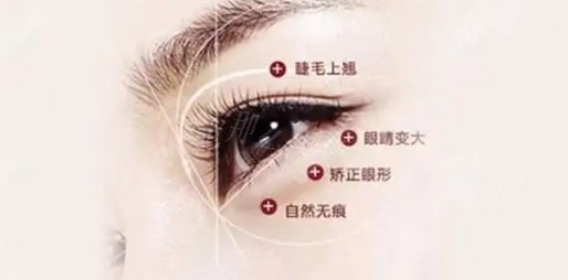 微信截图_20250225092428