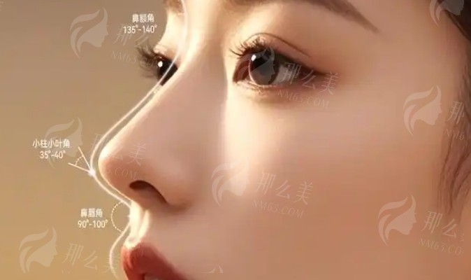 微信截图_20250225105631