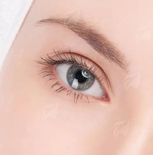 微信截图_20250225092349