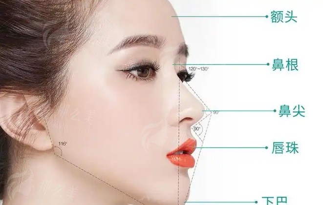 微信截图_20250303085244