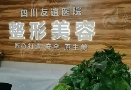 成都友谊整形美容中心假体隆胸项目概述
