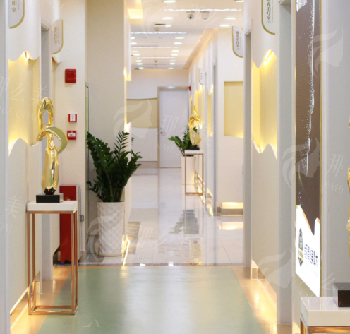 影响广州海峡医疗美容医院内窥镜隆胸价格的主要因素