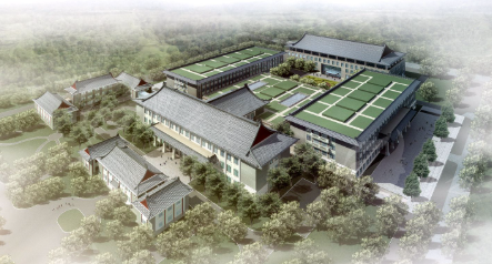 四大医生技术优势深度对比