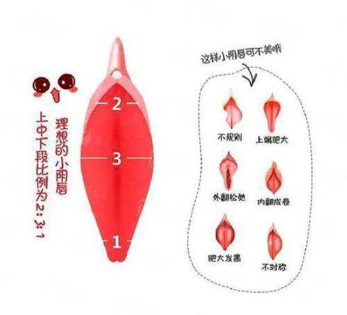 三、西安慈爱医院做处女膜修复手术服务和环境如何?