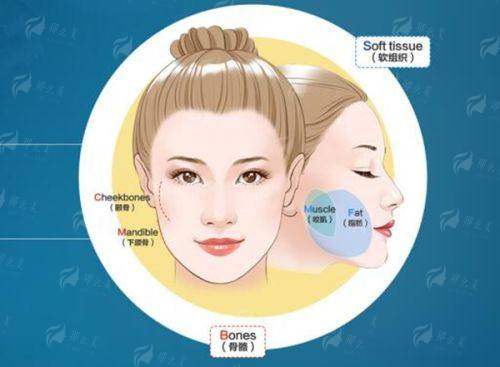 标签突出小标题，段落层次清晰 6. 结尾有引导询问话术，未出现敏感词和夸张表述