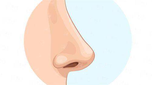 四、孔德记医生隆鼻预约攻略及价格参考