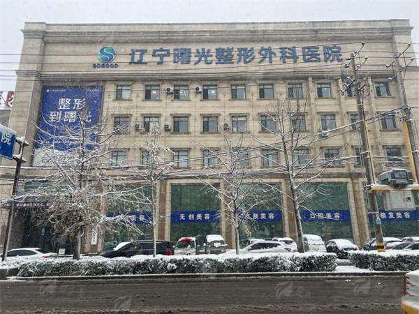 二、辽宁曙光整形于世川院长擅长什么项目？