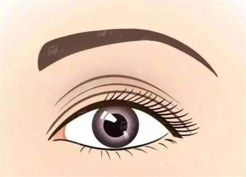 五、广东韩妃整形外科医院祛眼袋价格参考