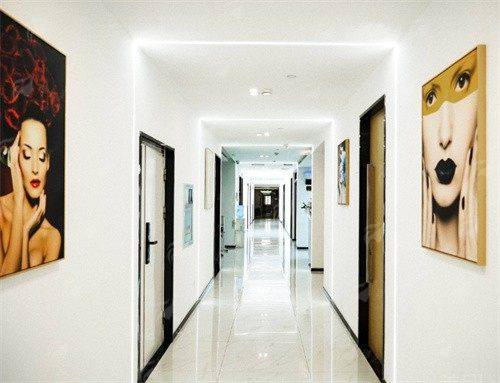 一、医生背景与技术路线对比