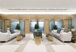 三、武汉匠歆天巧耳再造价格与武汉市场对比