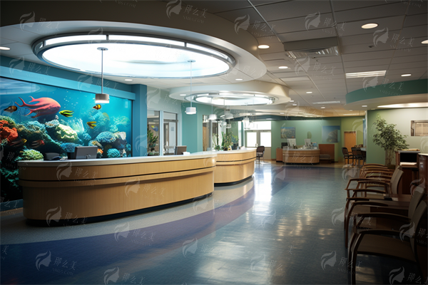 三、美杜莎眼综合包含哪些项目？价格大概是多少？