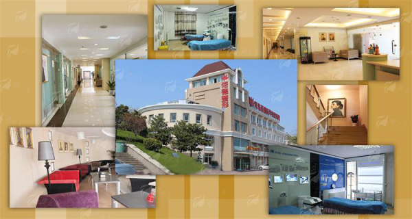 二、青岛诺德隆鼻实例真实反馈大公开