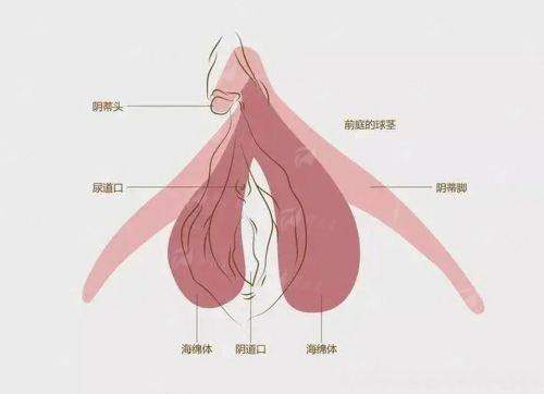 四、深圳港龙妇产医院私密护理怎么预约？