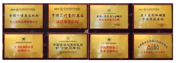 二、东莞韩美提眉手术成效评价体系