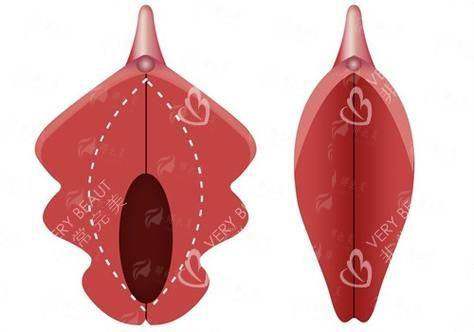 二、2026年济南诺德张冠勋私密整形价格表曝光