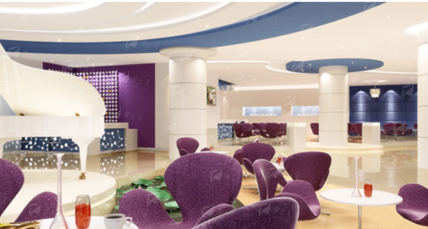 三、合肥韩美整形口腔医院吸脂项目价格参考