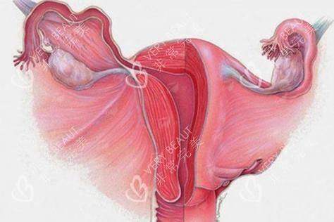 四、江苏南通悦尔美私密整形怎么预约?这些坑别踩