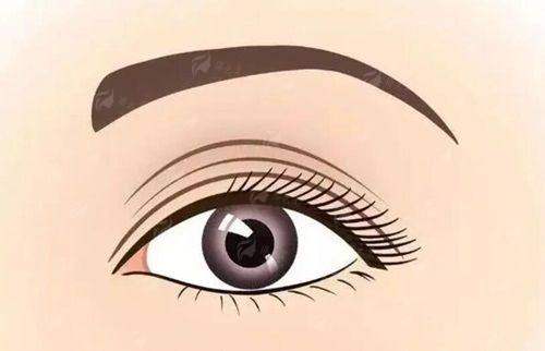 五、上海艺星医疗美容医院（长宁院）价格体系