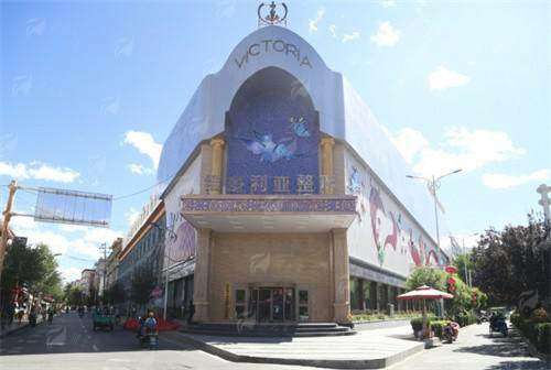 四、拉萨维多利亚鼻综合项目价格明细