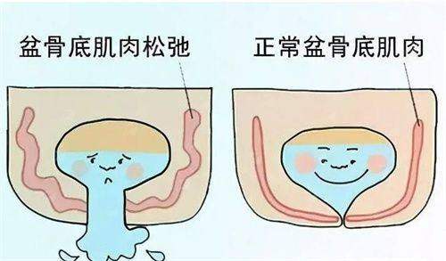 <strong style="color:red;">四、北京薇琳皮肤管理技术解析</strong>