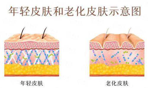 <strong>三、上海华美整形美容医院：术前数字化模拟系统</strong>