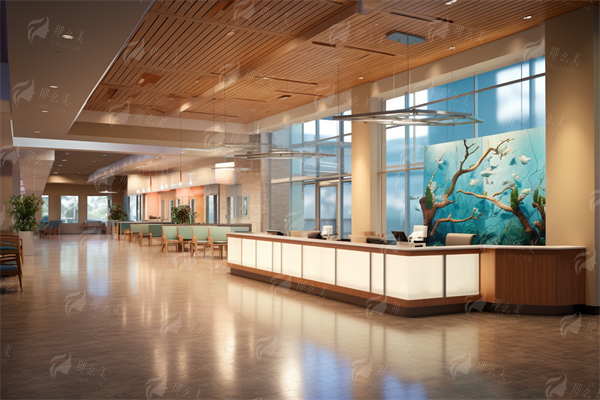 <strong>预约方式汇总</strong>