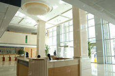 二、杨洋医生的祛疤痕技术手法有哪些特点?