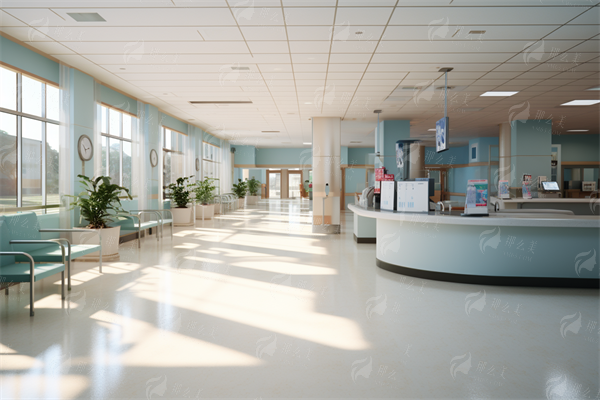 <strong>2025年全新预约方式汇总</strong>