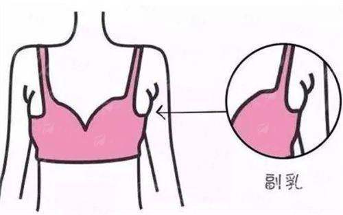 四、轮廓整形项目价格明细参考