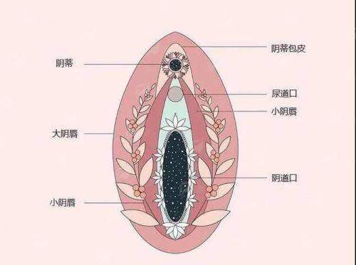 三、惠州惠城友禾私密科的阴道紧缩手术价格是多少？