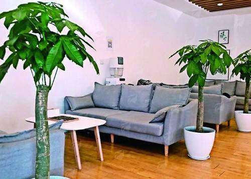 二、陈海涛医生隆鼻技术优势详解