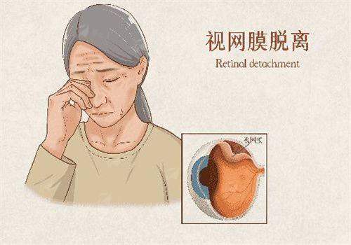 <strong style="color: red;">六、专精建议：这样选医院不踩坑</strong>