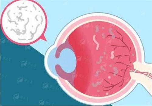 <strong style="color: red;">四、患者更关心的5个实际问题</strong>