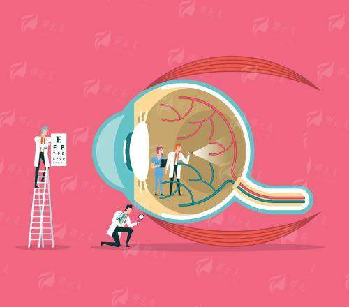 <strong style="color: red;">5. 上海市第一人民医院</strong>