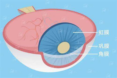 <strong style="color:red;">二、长春近视手术骨干医生团队盘点</strong>