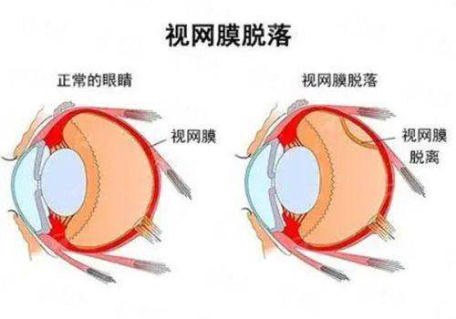 <strong style="color: red;">设备与服务的双重保护</strong>