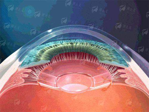 西安医学高等专科学校附属医院眼科好不好？实测专业服务+先进技术，线上预约挂号已开启