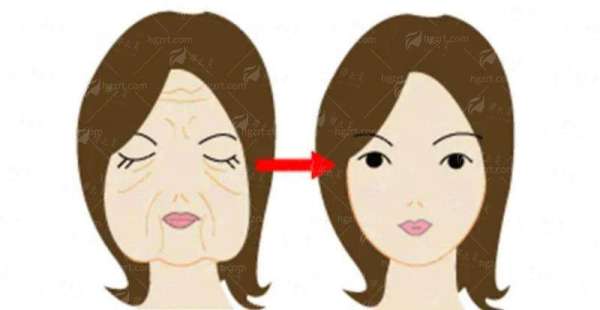 二、刘中林医生：解剖学精细派的自然美学