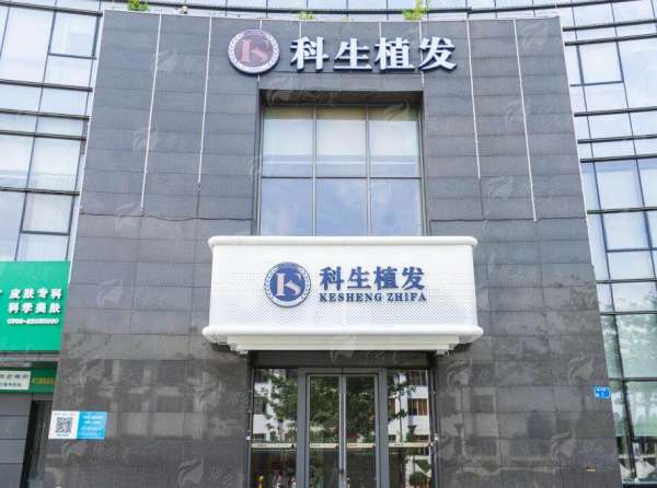 四、真实实例展示：从稀疏到浓密的蜕变