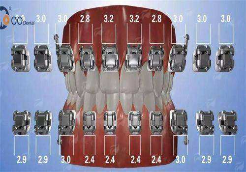 四、怎么预约?交通指南来了