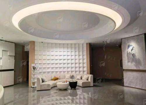 二、衡水韩娅特色轮廓固定项目详解