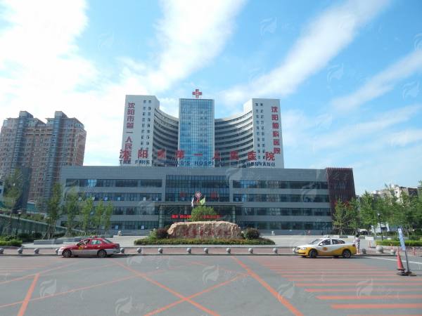 四、就诊指南与真实实例参考