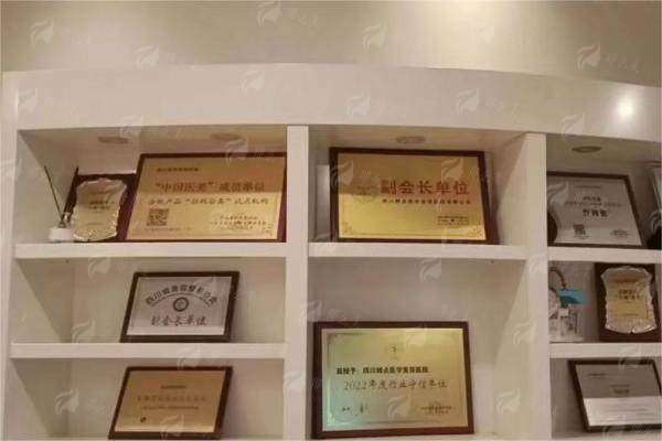 四、四川娇点如何选择与理性决策指南