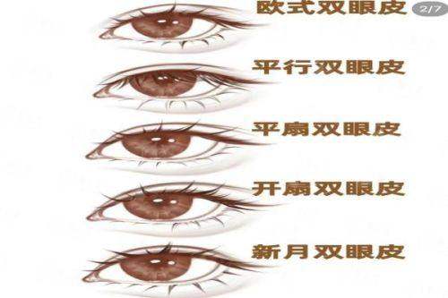 四、如何预约石家庄天宏医疗美容医院的张学雷医生？