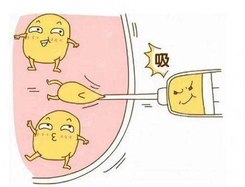 <strong>四、清晰便捷的预约指南</strong>