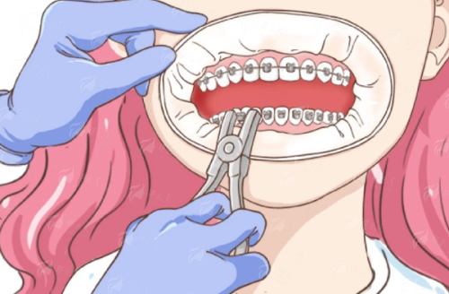 <strong>四、清晰便捷的全渠道预约指南</strong>