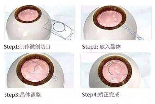 <strong>五、费用参考与后续步骤</strong>